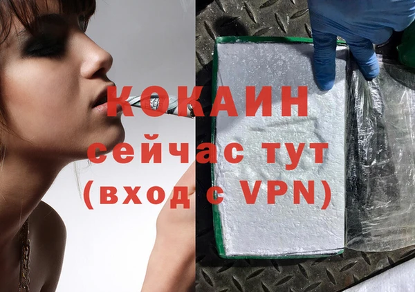 спиды Лиски
