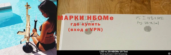 спиды Лиски