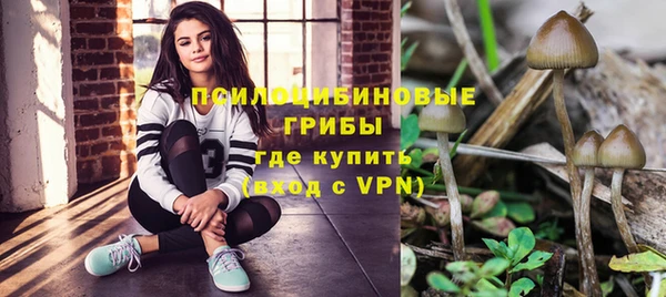 дмт Липки