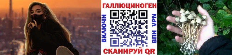 Купить  Южа  Галлюциногенные грибы прущие грибы 