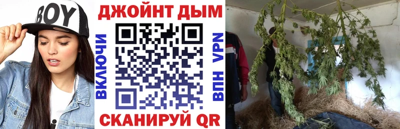 Канабис OG Kush  Купить  Южа 